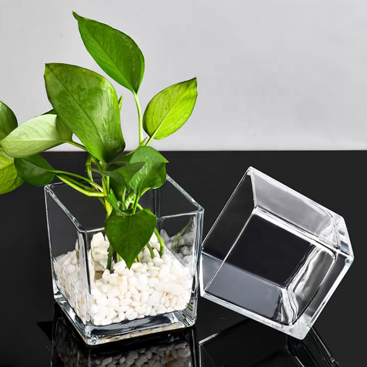 Cube Flower Vase Clear Square Candle Holders Small Glass Flower Container Plant for Home Decor