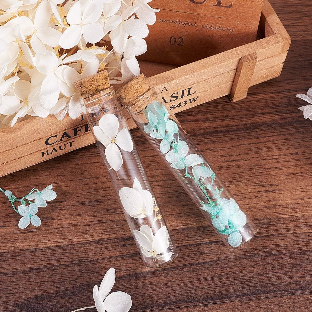 Recyclable 50ml  Round Bottom Pharmaceutical Borosilicate Glass Tube With Cap Test Tube Bottle With Cork