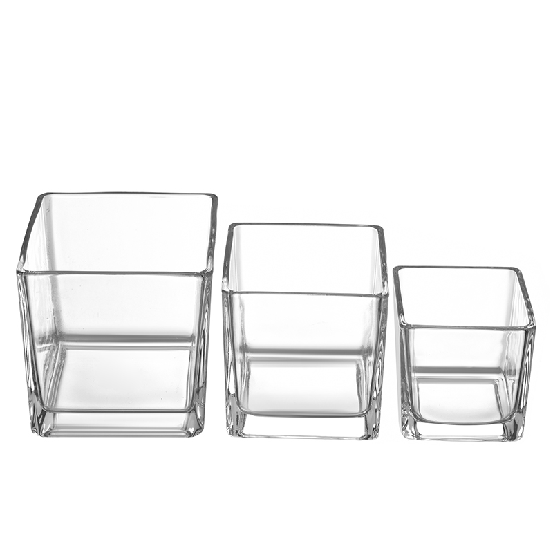 Simple Design Home Decoration Wholesale Cube Plant Flower Vases Square Clear Glass Vase
